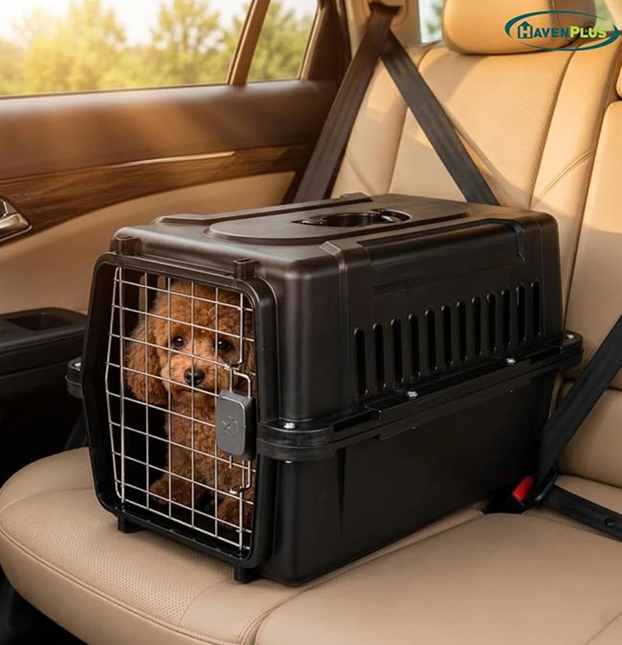 Pet transport travel carrier cage with a secure locking door and durable design for safe pet travel